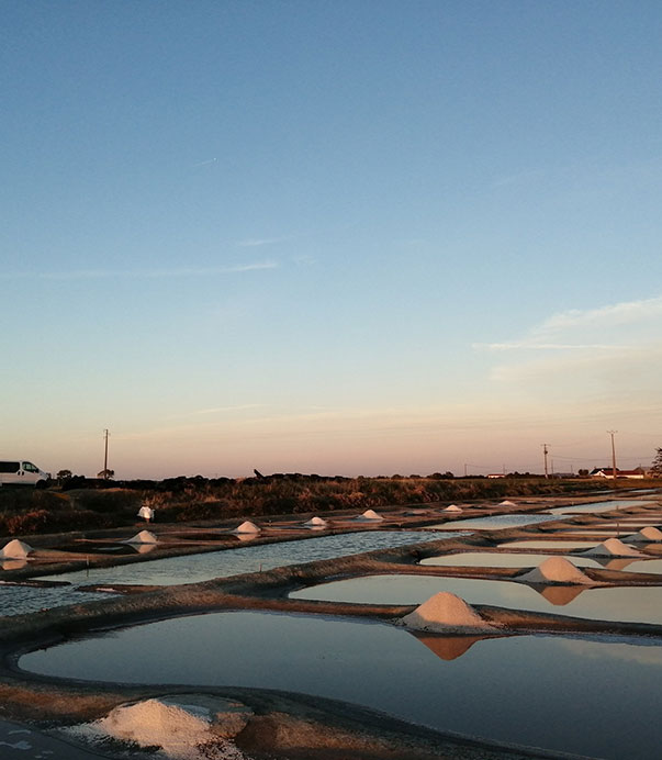 Production de sel à Beauvoir-Sur-Mer