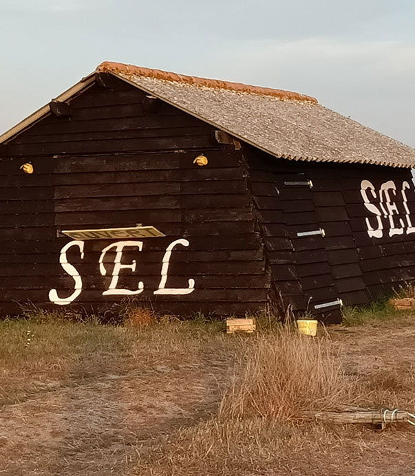Sel fin à Beauvoir-Sur-Mer