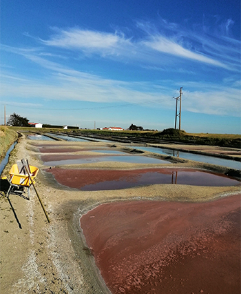 Production de sel en Vendée