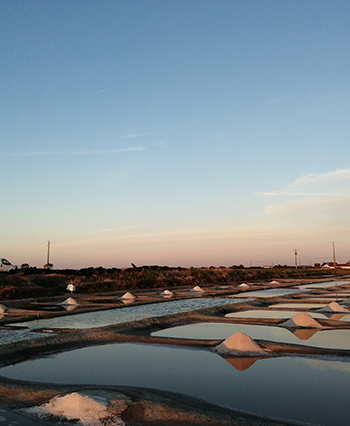Vente de sel fin en Vendée
