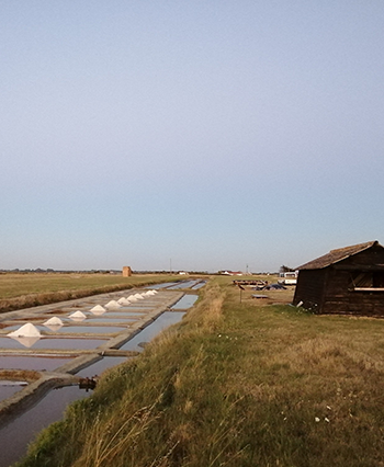 Vente de sel en gros en Vendée