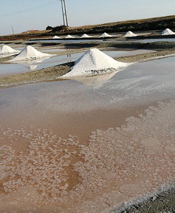 Vente de gros sel en Vendée