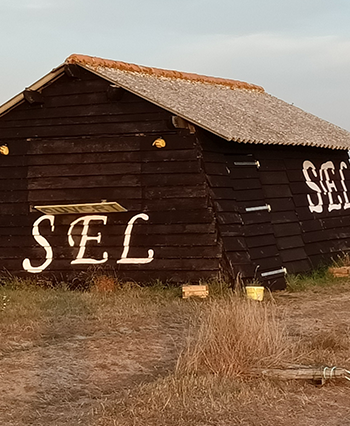 Expérience salicole en Vendée