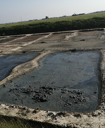 Extraction de sel en Vendée