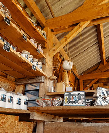  Visite gratuite de marais salant en Pays de la Loire