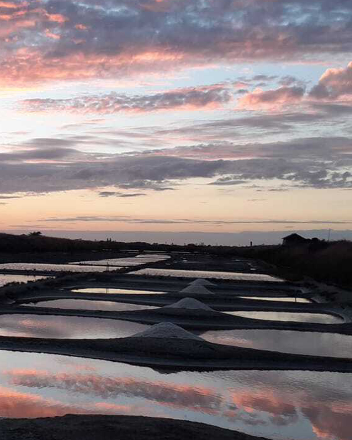 Vente de sels naturels en Pays de la Loire