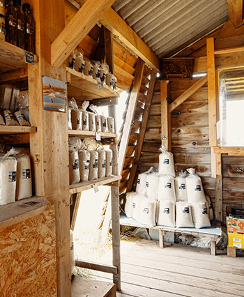 Vente de sels en Pays de la Loire