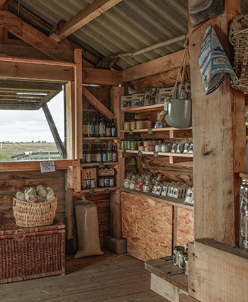 Découverte marais salant en Pays de la Loire