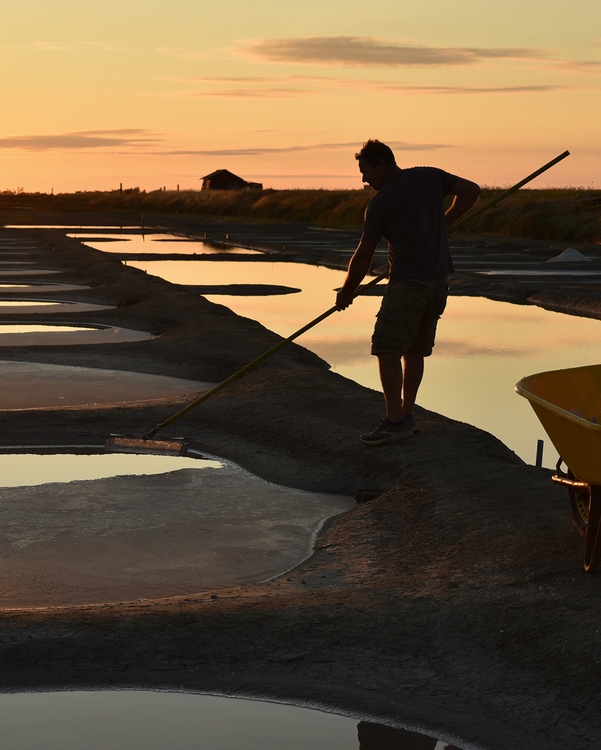 Découverte techniques de production de sel en Pays de la Loire