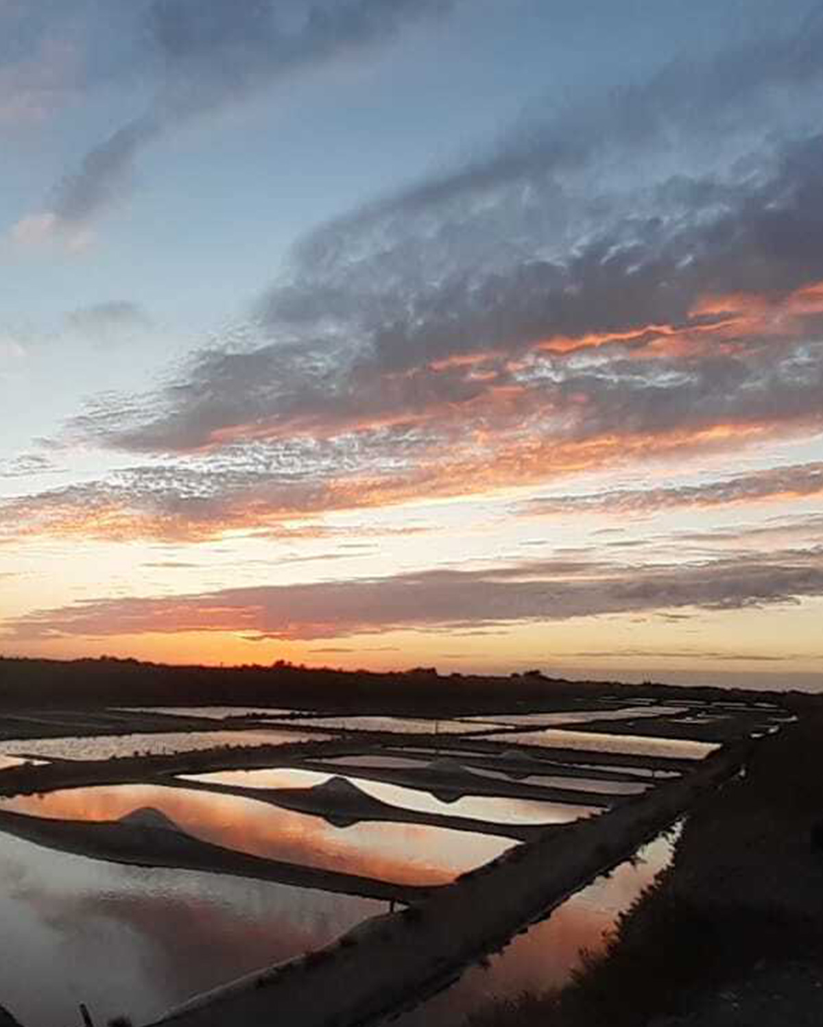 Visite en famille de  marais salant en Pays de la Loire